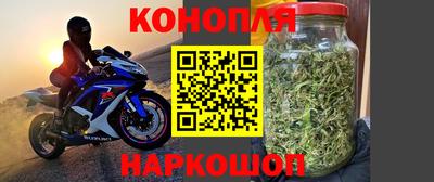 a pvp Гусев