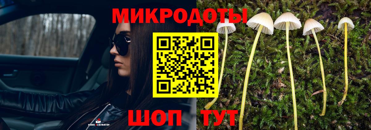 Галлюциногенные грибы MAGIC MUSHROOMS  Вход с VPN  цены наркотик  Можайск 